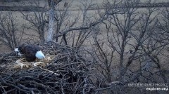 2022-12-06 22_40_15-Decorah Eagles - North Nest powered by EXPLORE.org - YouTube – Maxthon.jpg