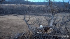 2022-12-06 22_40_46-Decorah Eagles - North Nest powered by EXPLORE.org - YouTube – Maxthon.jpg