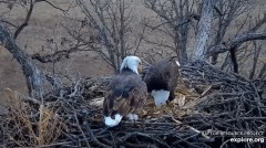 2022-12-06 22_40_55-Decorah Eagles - North Nest powered by EXPLORE.org - YouTube – Maxthon.jpg