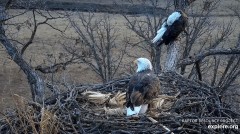 2022-12-06 22_41_16-Decorah Eagles - North Nest powered by EXPLORE.org - YouTube – Maxthon.jpg