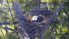 2022-12-06 23_05_08-Wildlife Rescue of Dade County Eagle Nest Cam - YouTube – Maxthon.jpg