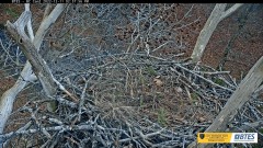 2022-12-11 20_58_21-Bluff City Cam 2_ ETSU Eagle Cameras - YouTube – Maxthon.jpg