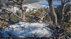 2022-12-18 21_34_57-Big Bear Bald Eagle Live Nest Cam - YouTube – Maxthon.jpg