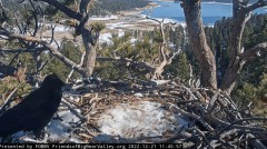 2022-12-21 22_41_00-Big Bear Bald Eagle Live Nest Cam - YouTube – Maxthon.jpg