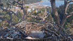 2022-12-22 22_59_43-Big Bear Bald Eagle Live Nest Cam - YouTube – Maxthon.jpg
