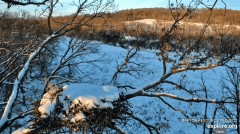 2022-12-26 23_17_03-Decorah Eagles - North Nest powered by EXPLORE.org - YouTube – Maxthon.jpg