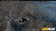 2022-12-28 22_48_01-Bluff City Cam 2_ ETSU Eagle Cameras - YouTube – Maxthon.jpg