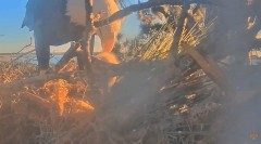 2022-12-28 22_57_35-SuperBeaks Live Cam Bald Eagle Nest ! New Eaglets! #bobblehead #eagle #livestrea.jpg