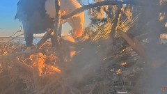 2022-12-28 22_58_17-SuperBeaks Live Cam Bald Eagle Nest ! New Eaglets! #bobblehead #eagle #livestrea.jpg