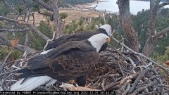 2023-01-01 00_02_06-Big Bear Bald Eagle Live Nest Cam - YouTube – Maxthon.jpg