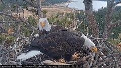 2023-01-01 00_02_33-Big Bear Bald Eagle Live Nest Cam - YouTube – Maxthon.jpg