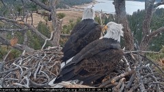 2023-01-01 00_02_40-Big Bear Bald Eagle Live Nest Cam - YouTube – Maxthon.jpg