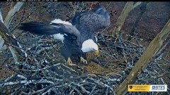 2023-01-01 23_18_48-Bluff City Cam 2_ ETSU Eagle Cameras - YouTube – Maxthon.jpg