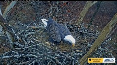 2023-01-01 23_19_00-Bluff City Cam 2_ ETSU Eagle Cameras - YouTube – Maxthon.jpg