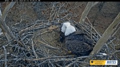 2023-01-12 22_11_50-Bluff City Cam 2_ ETSU Eagle Cameras - YouTube – Maxthon.jpg