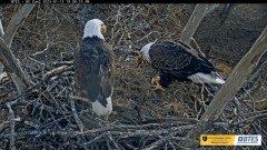 2023-01-12 22_12_16-Bluff City Cam 2_ ETSU Eagle Cameras - YouTube – Maxthon.jpg