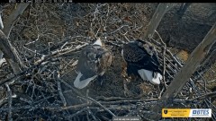 2023-01-12 22_12_31-Bluff City Cam 2_ ETSU Eagle Cameras - YouTube – Maxthon.jpg