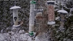 2023-01-24 19_26_38-Bird feeder LIVE. Keila-Joa, Estonia - YouTube – Maxthon.jpg