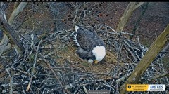 2023-01-31 20_58_58-Bluff City Cam 2_ ETSU Eagle Cameras - YouTube – Maxthon.jpg