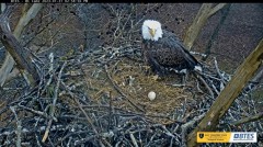 2023-01-31 20_59_20-Bluff City Cam 2_ ETSU Eagle Cameras - YouTube – Maxthon.jpg