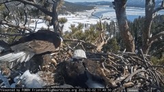 2023-02-02 23_18_47-Big Bear Bald Eagle Live Nest - Cam 1 - YouTube – Maxthon.jpg