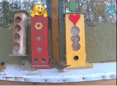 2023-02-07 19_50_36-Bird feeder LIVE, Norway - YouTube – Maxthon.jpg
