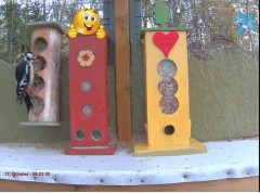 2023-02-07 19_51_22-Bird feeder LIVE, Norway - YouTube – Maxthon.jpg
