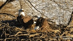 2023-02-13 21_06_49-Decorah Eagles - North Nest powered by EXPLORE.org - YouTube – Maxthon.jpg