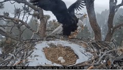 2023-02-14 22_30_16-Big Bear Bald Eagle Live Nest - Cam 1 - YouTube – Maxthon.jpg