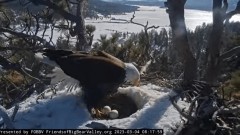 2023-03-04 23_24_35-Big Bear Bald Eagle Live Nest - Cam 1 - YouTube – Maxthon.jpg