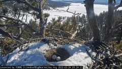 2023-03-04 23_25_10-Big Bear Bald Eagle Live Nest - Cam 1 - YouTube – Maxthon.jpg