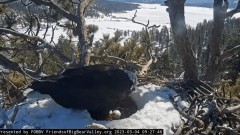 2023-03-04 23_26_30-Big Bear Bald Eagle Live Nest - Cam 1 - YouTube – Maxthon.jpg