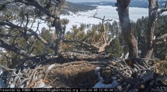 2023-03-08 21_45_35-Big Bear Bald Eagle Live Nest - Cam 1 - YouTube – Maxthon.jpg