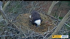 2023-03-18 22_47_02-Bluff City Cam 2_ ETSU Eagle Cameras - YouTube – Maxthon.jpg