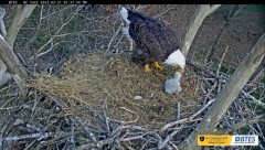 2023-03-21 22_42_19-Bluff City Cam 2_ ETSU Eagle Cameras - YouTube – Maxthon.jpg