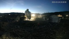 2023-03-24 19_34_15-Камера предава на живо от гнездо на щъркели в село Ярлово_ Camera from a stork's.jpg