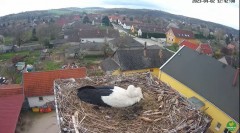 2023-04-02 20_12_43-LIVE Nest Cam - White Storks (Ságvár, Hungary) - YouTube – Maxthon.jpg
