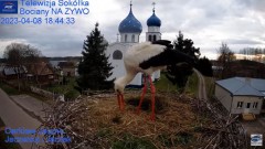 2023-04-08 20_01_41-Gniazdo Bocianie - Telewizja Sokółka [NA ŻYWO] _ IP Camera_ Stork's nest [LIVE] .jpg