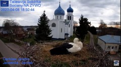 2023-04-08 20_02_18-Gniazdo Bocianie - Telewizja Sokółka [NA ŻYWO] _ IP Camera_ Stork's nest [LIVE] .jpg