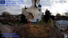 2023-04-11 21_38_05-Gniazdo Bocianie - Telewizja Sokółka [NA ŻYWO] _ IP Camera_ Stork's nest [LIVE] .jpg