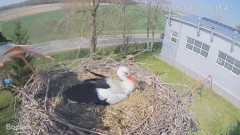 2023-04-12 20_33_03-#Bocian na żywo z #gniazdo pod Zambrowem #WhiteStork #nest #livecam w #zambrow #.jpg