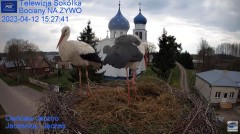 2023-04-12 21_33_47-Gniazdo Bocianie - Telewizja Sokółka [NA ŻYWO] _ IP Camera_ Stork's nest [LIVE] .jpg