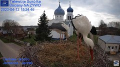 2023-04-12 21_34_09-Gniazdo Bocianie - Telewizja Sokółka [NA ŻYWO] _ IP Camera_ Stork's nest [LIVE] .jpg