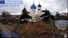 2023-04-13 20_55_39-(1) Gniazdo Bocianie - Telewizja Sokółka [NA ŻYWO] _ IP Camera_ Stork's nest [LI.jpg