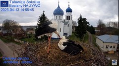 2023-04-13 20_55_48-(1) Gniazdo Bocianie - Telewizja Sokółka [NA ŻYWO] _ IP Camera_ Stork's nest [LI.jpg