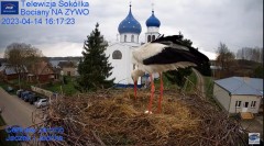 2023-04-14 20_21_12-Gniazdo Bocianie - Telewizja Sokółka [NA ŻYWO] _ IP Camera_ Stork's nest [LIVE] .jpg