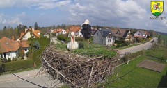 2023-04-18 12_27_24-BOCIANY kamera na żywo z gniazda w Pasłęku – Maxthon.jpg