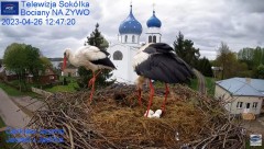 2023-04-26 22_45_19-Gniazdo Bocianie - Telewizja Sokółka [NA ŻYWO] _ IP Camera_ Stork's nest [LIVE] .jpg