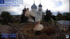 2023-04-27 22_48_49-Gniazdo Bocianie - Telewizja Sokółka [NA ŻYWO] _ IP Camera_ Stork's nest [LIVE] .jpg