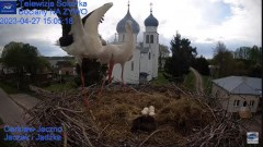 2023-04-27 22_49_28-Gniazdo Bocianie - Telewizja Sokółka [NA ŻYWO] _ IP Camera_ Stork's nest [LIVE] .jpg